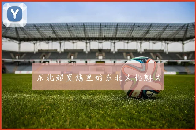 东北超直播里的东北文化魅力