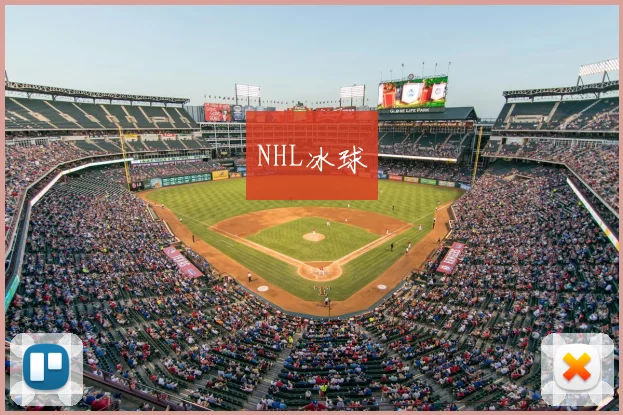NHL冰球