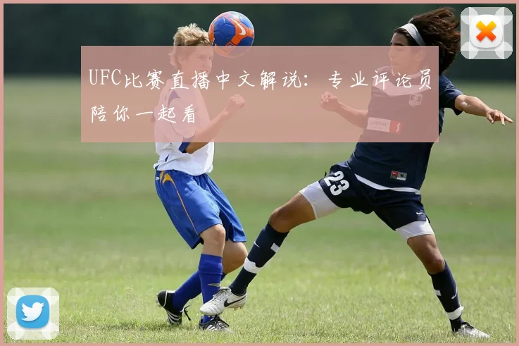 UFC比赛直播中文解说:专业评论员陪你一起看