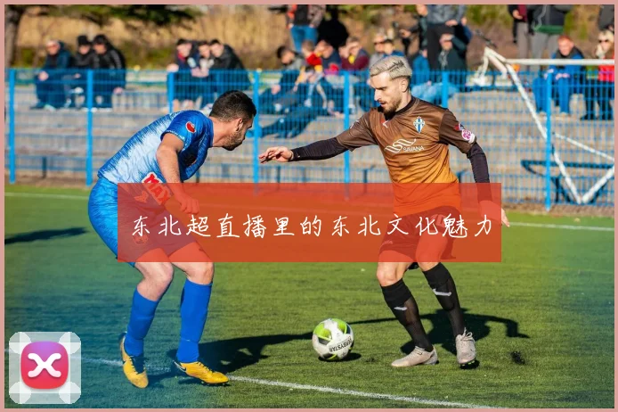 东北超直播里的东北文化魅力